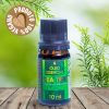 Óleo Essencial MELALEUCA / TEA TREE 100% Puro - 10 ml