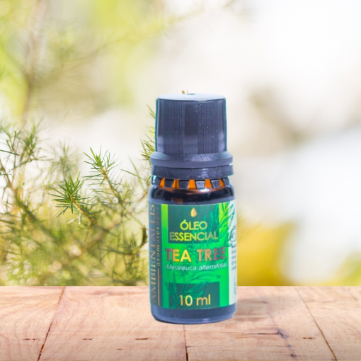 Óleo Essencial MELALEUCA / TEA TREE para Aromaterapia - 10 ml