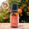 Óleo Essencial LARANJA DOCE (Óleo da Alegria) 100% Puro - 10 ml