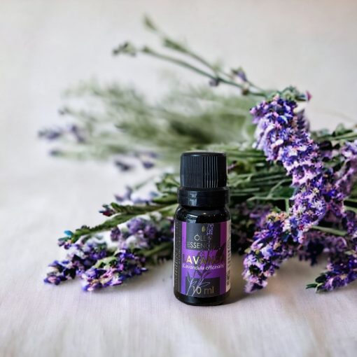 Óleo Essencial LAVANDA FRANCESA (Lavandula Officinalis) 100% Puro - 10 ml