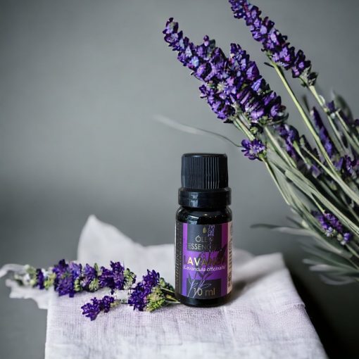 Óleo Essencial LAVANDA FRANCESA (Lavandula Officinalis) 100% Puro - 10 ml