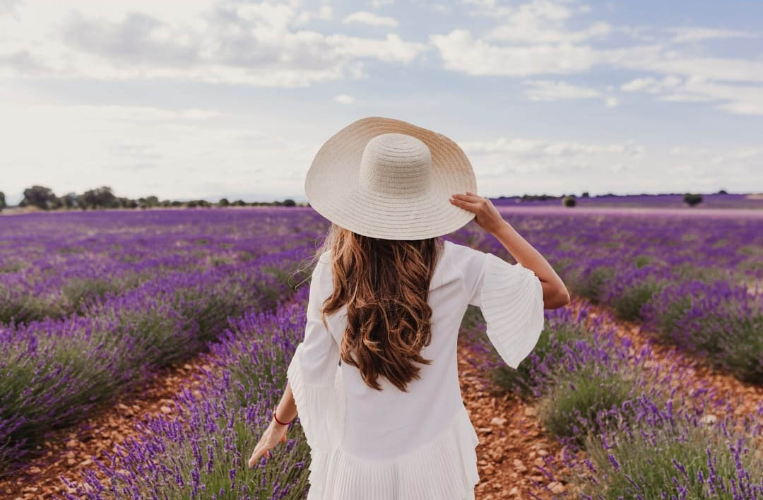 Fragrância Lavanda Inglesa