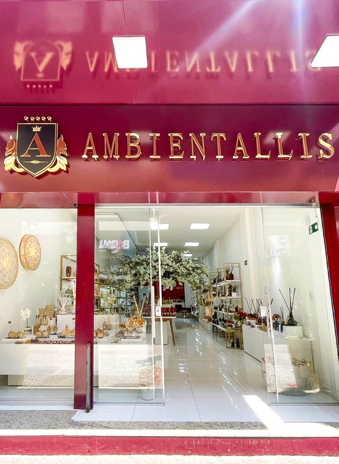 Ambientallis Juiz de Fora - Rua Barão de São João Nepomuceno 237 - Centro